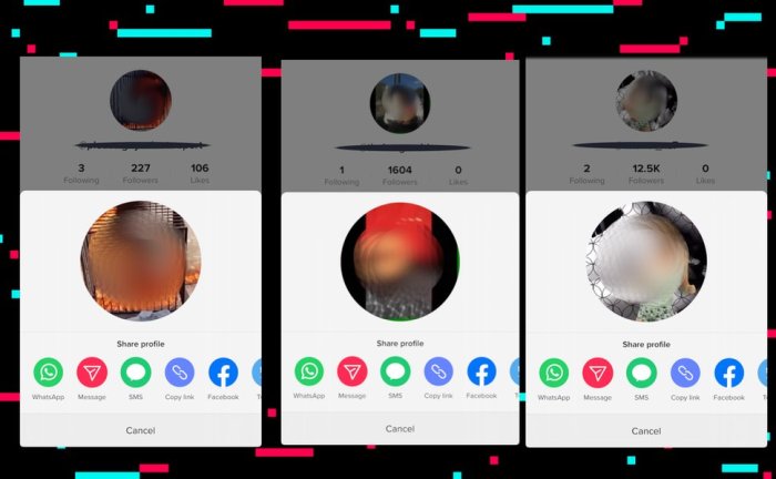 Download video bokeh viral di TikTok tanpa sensor