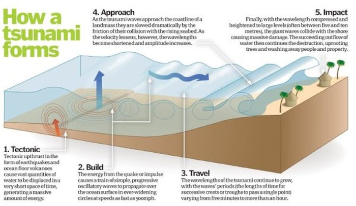 Peran masyarakat dalam menghadapi potensi tsunami akibat gempa megathrust