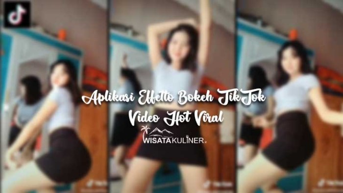 Download video bokeh viral di TikTok tanpa sensor