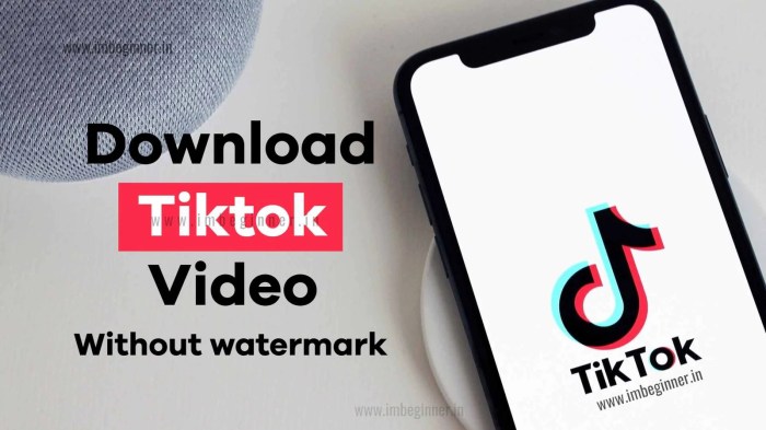 Download video bokeh TikTok tanpa watermark