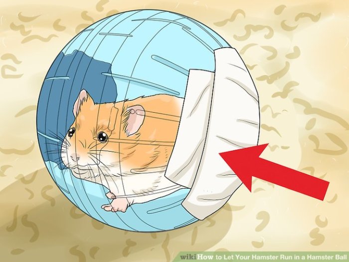 Control hamster ball game