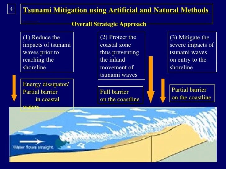 Strategi Mitigasi Bencana Gempa Megathrust dan Tsunami Agustus 2024