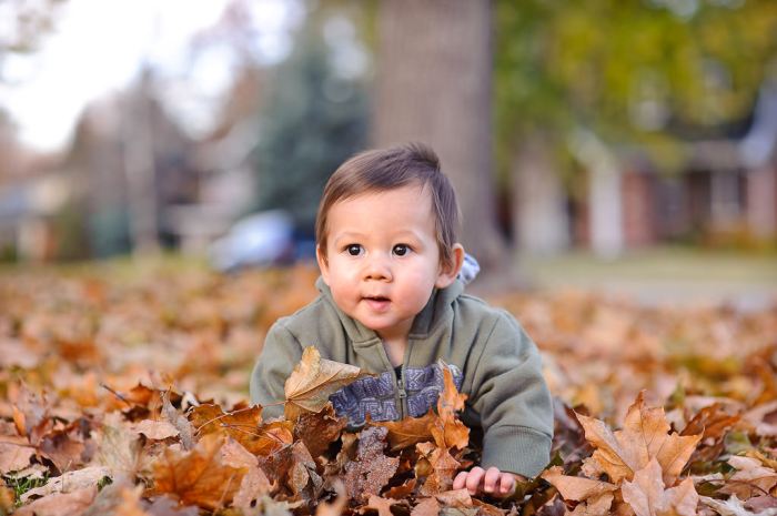 Bokeh Terbaik di Setiap Benua