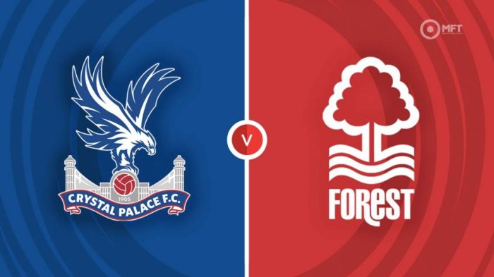 Nottingham Forest vs Crystal Palace