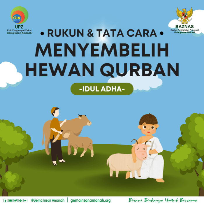 Tata cara menyembelih hewan qurban