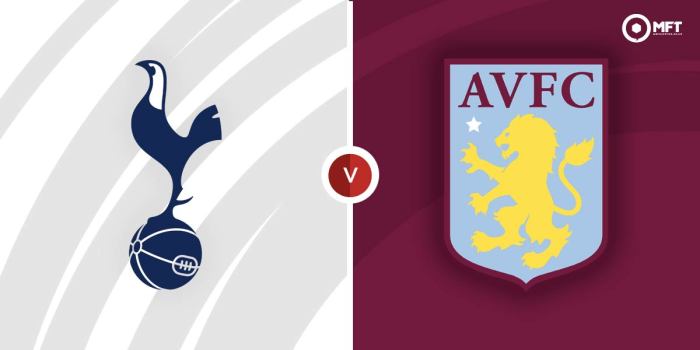 Tottenham Vs Aston Villa: Spurs Menang 4-1