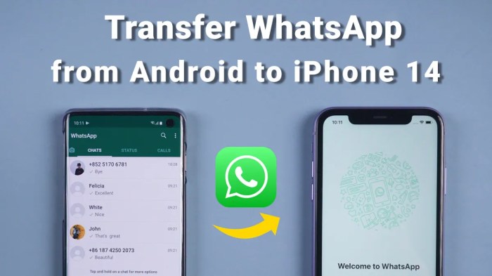 Transfer whatsapp android iphone move ios alternative