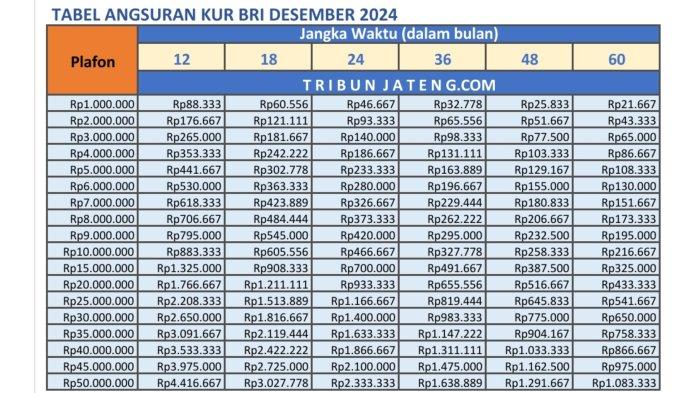 tabel angsuran pinjaman kur bri Desember 2024 Rp 1 Juta- Rp 50 Juta