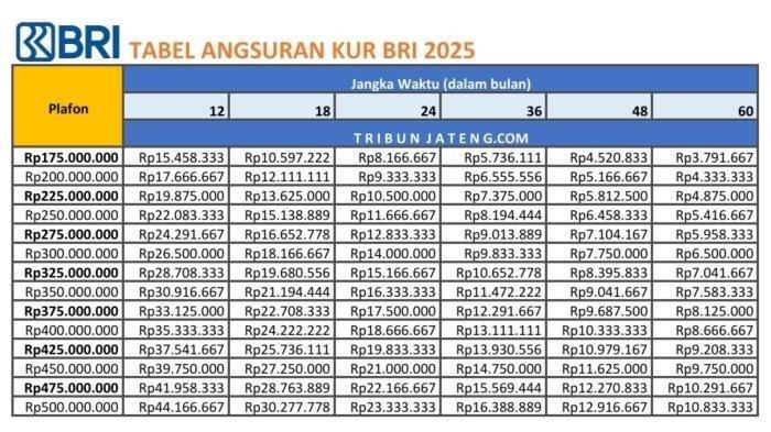 KUR BRI 2025 - Tabel Angsuran KUR BRI 2025 ini disajikan khusus bagi calon debitur yang ingin meminjam dana KUR 2025 di Bank BRI dengan plafon pinjaman Rp 200 juta sampai Rp 500 juta.